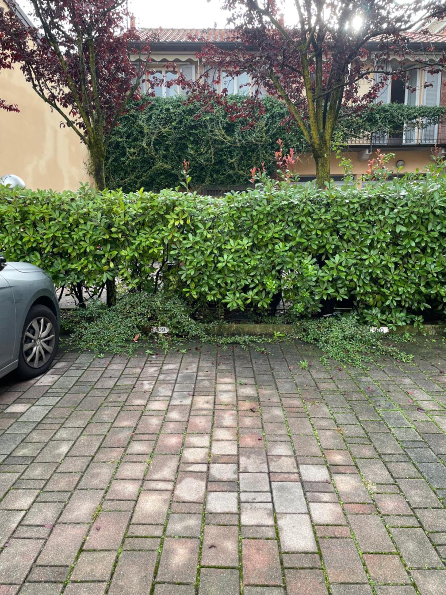 Gelsomino Appartamento Con Posto Auto Nel Centro Di Monza Eksteriør bilde